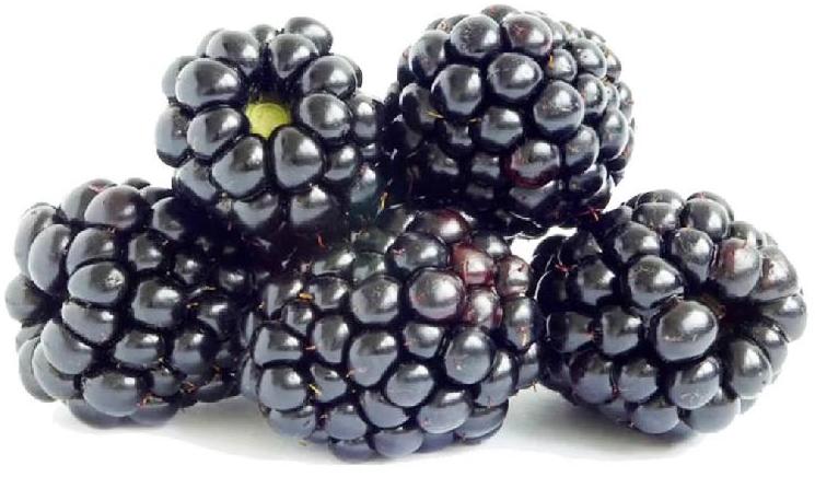 Frozen Imported Blackberries