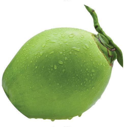 green tender coconut
