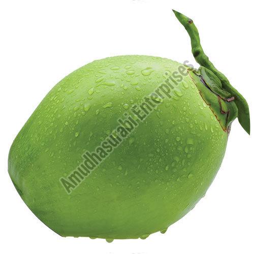 Organic Green Tender Coconut, for Good Taste, Healthy, Easily Affordable, Coconut Size : Small, Medium