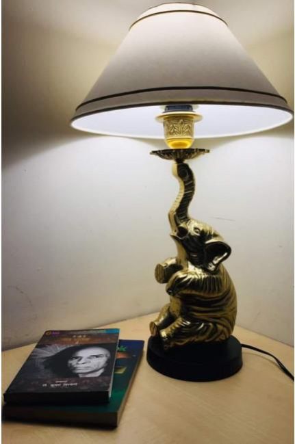 Elephant Lamp