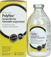 polyflex injection
