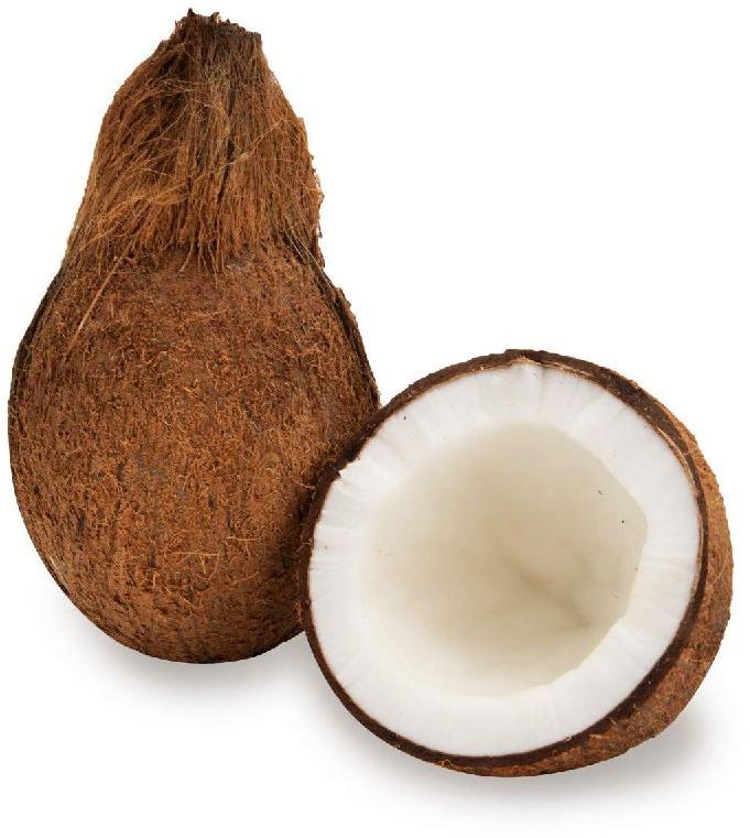 Semi Husked Natural Fresh Coconut, for Free From Impurities, Freshness, Packaging Type : Gunny Bags