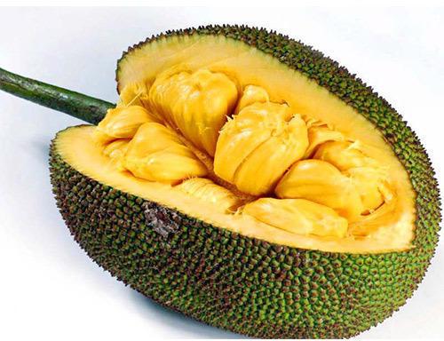 Natural Fresh Jackfruit, for Human Consumption, Certification : FSSAI Certified