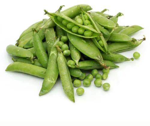Natural Fresh Peas, for Human Consumption, Cooking, Certification : FSSAI Certified