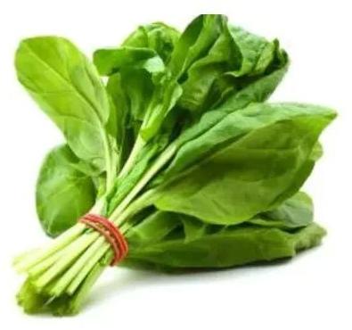 Fresh Spinach Leaves