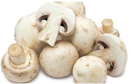 Natural Fresh Mushroom, for Human Consumption, Packaging Type : PP Packets