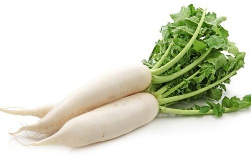 Fresh Radish, for Human Consumption, Feature : Healthy, Natural Taste