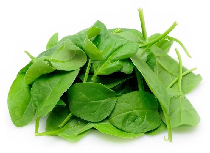 Natural Fresh Spinach Leaves, for Human Consumption, Packaging Type : Jute Bag