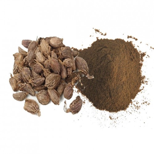 Black Cardamom Powder, for Cooking, Certification : FSSAI Certified