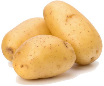 Oval fresh potato