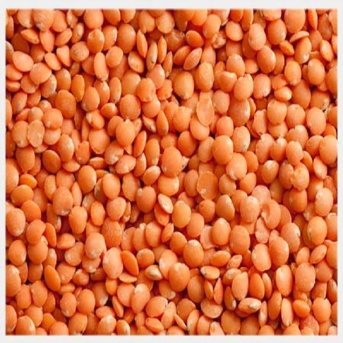 Red Lentils