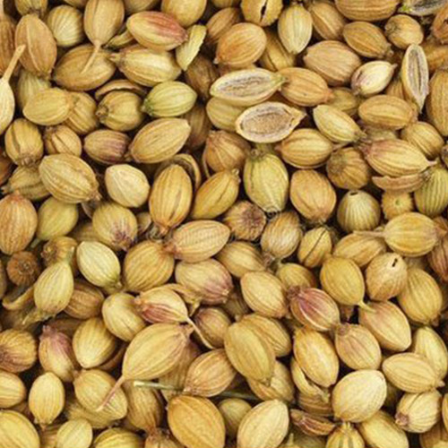 Natural coriander seeds, Grade Standard : Food Grade