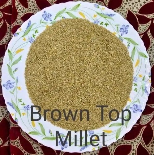Organic Brown Top Millets, Style : Dried