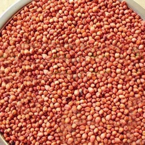Organic Red Sorghum, Style : Dried