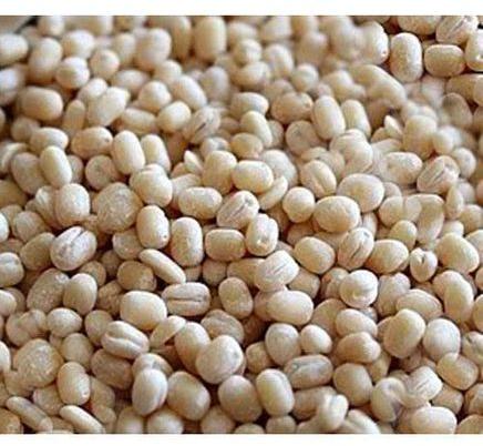 Natural White Urad Dal, Packaging Type : PP Bag