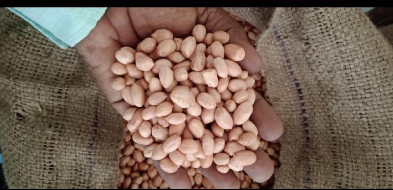 Double cleaned peanut, for Oil, Herbal Formulation, Cooking, Ayurvedic Formulation, Packaging Type : Pp Bags