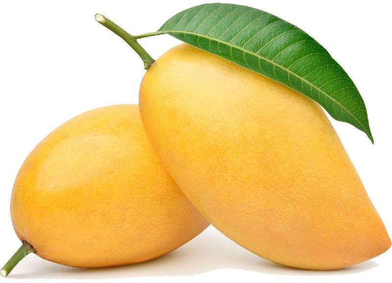 Organic fresh mango, Certification : FSSAI Certified