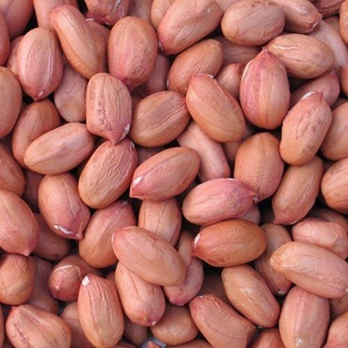 Groundnut Kernels, Feature : Good For Health, Non Harmful, Pure Organic
