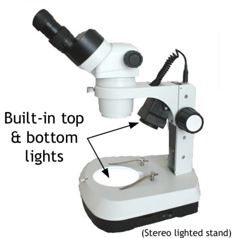 Dissecting Microscope, for Science Lab, Feature : Contemporary Styling, Durable