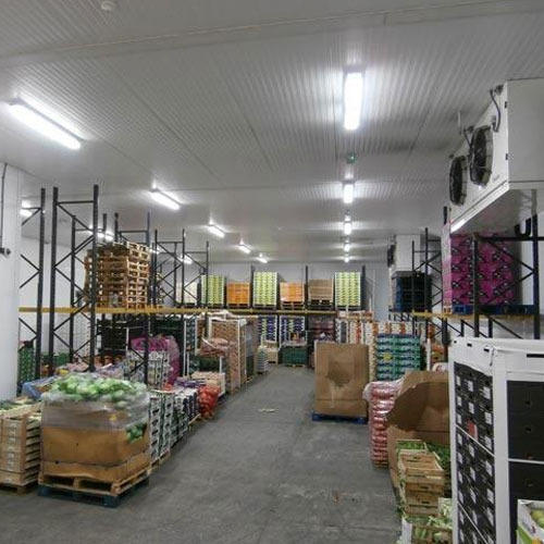 Vegetable Cold Storage Services