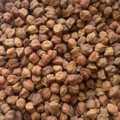 Brown Chickpeas, for Cooking, Variety : Desi Chana