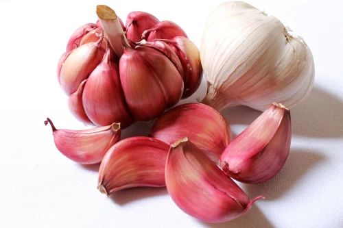 Organic Fresh Red Garlic, for Cooking, Human Consumption