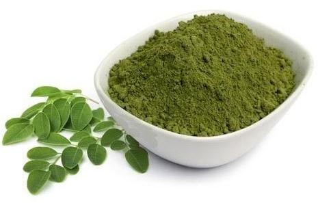 Choice 1 Common Moringa Powder, for Cosmetics, Medicines Products, Packaging Size : 5kg