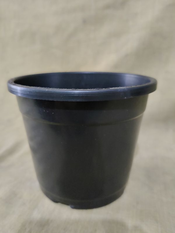 4 Inch Nursery Plastic Pot