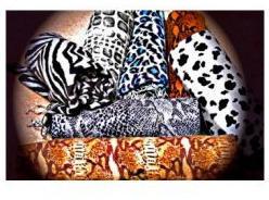 Animal Printed Pashmina Shawl, Style : Modern