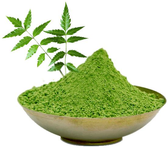 Neem Leaves Powder, for Herbal Medicines, Cosmetic Products, Color : Green