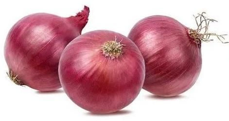fresh red onion