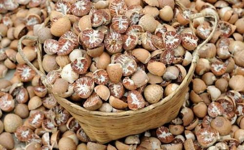 Natural Areca Nuts, for Medicines, Packaging Type : Jute Bag, Plastic Bag