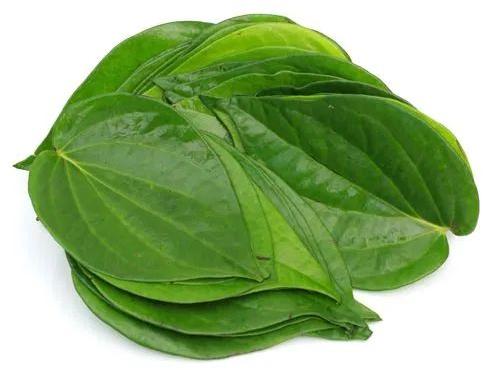 Natural Betel Leaves, Feature : Easy To Grow, Good Quality, Highly Effective, Insect Free, Nice Aroma