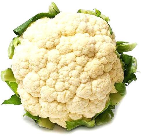 Natural Fresh Cauliflower, for Human Consumption, Cooking, Certification : FSSAI Certified