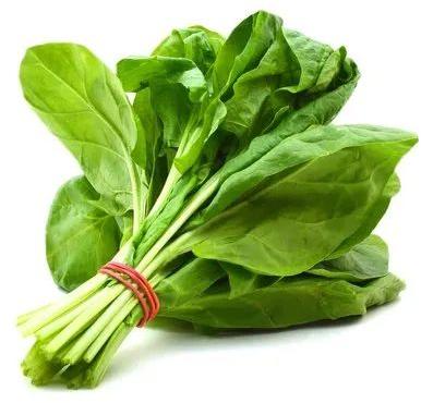 Natural Fresh Spinach Leaves, for Human Consumption, Cooking