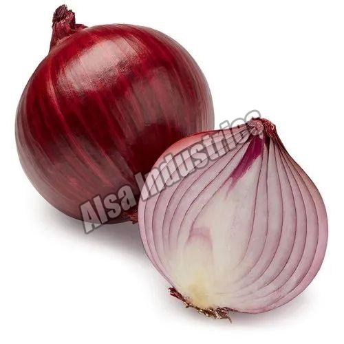 fresh onion