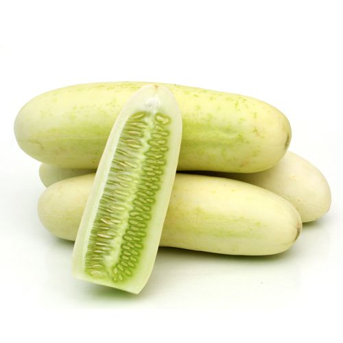 Cucumber Carrier oil at Best Price in Noida Pure Oil & Aroma