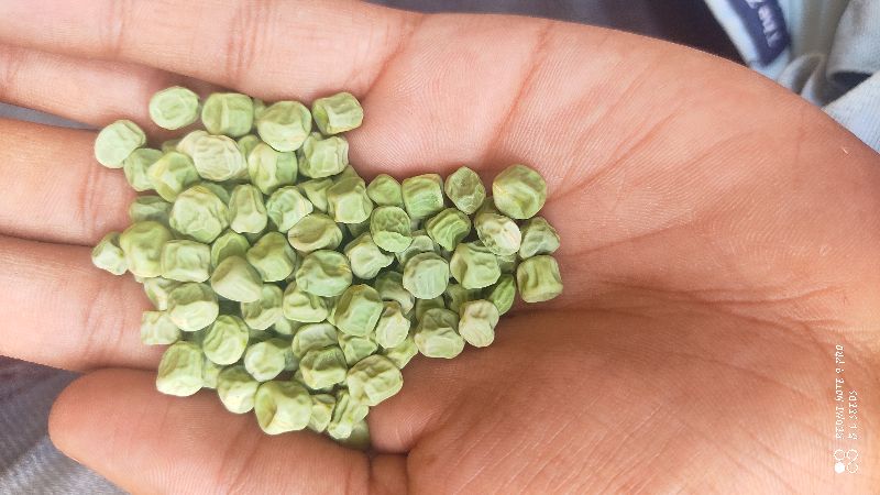 green peas gS10