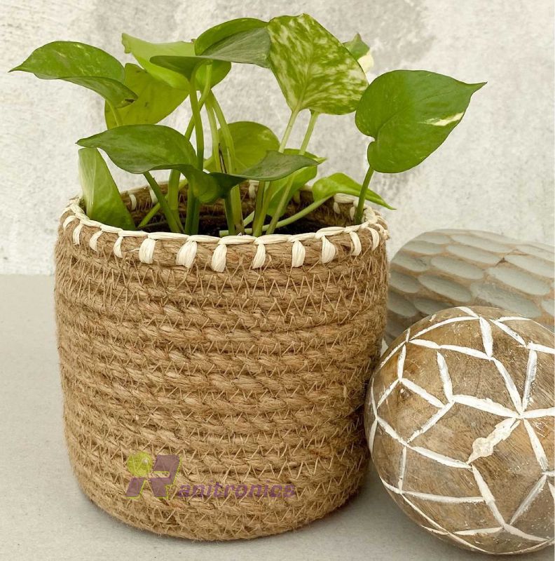 planter, Size 5.5 inches at best price in Hyderabad Telangana from