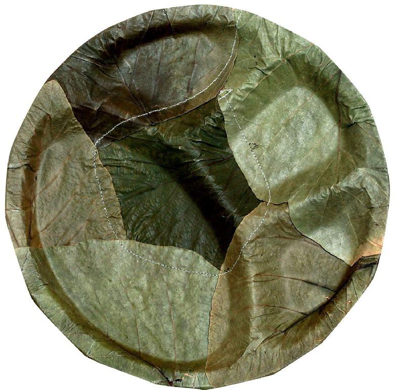 round-10-inch-palash-leaf-plate-for-serving-food-feature-disposable