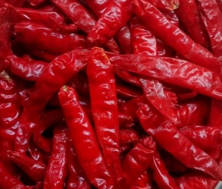 Mahi S-15 Dried Red Chilli