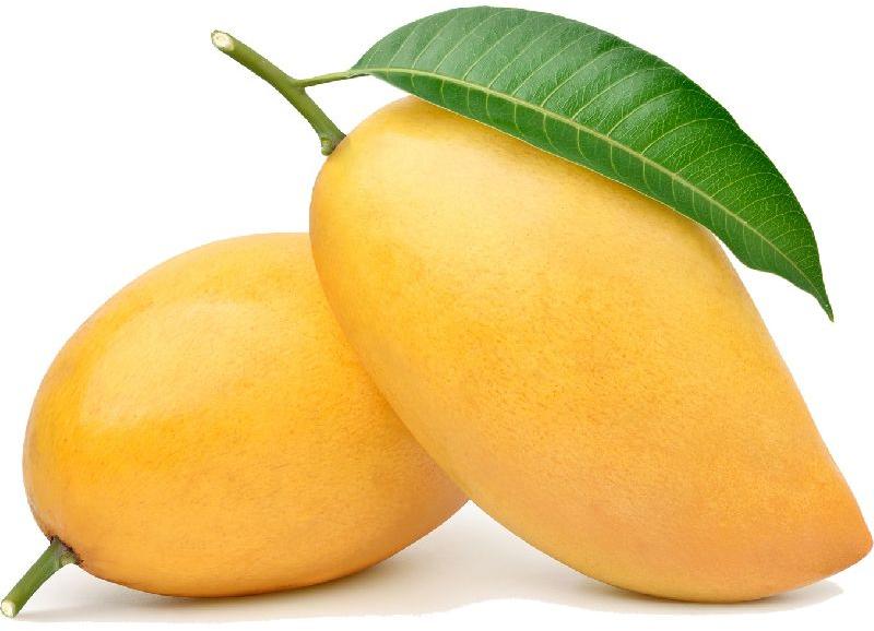 fresh mango