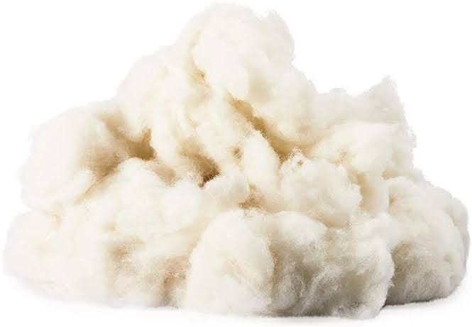 Raw cotton, Color : White