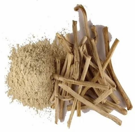 shatavari powder