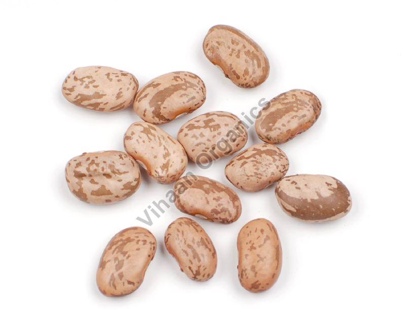 Natural Pinto Beans, for Cooking, Packaging Type : Plastic Packet