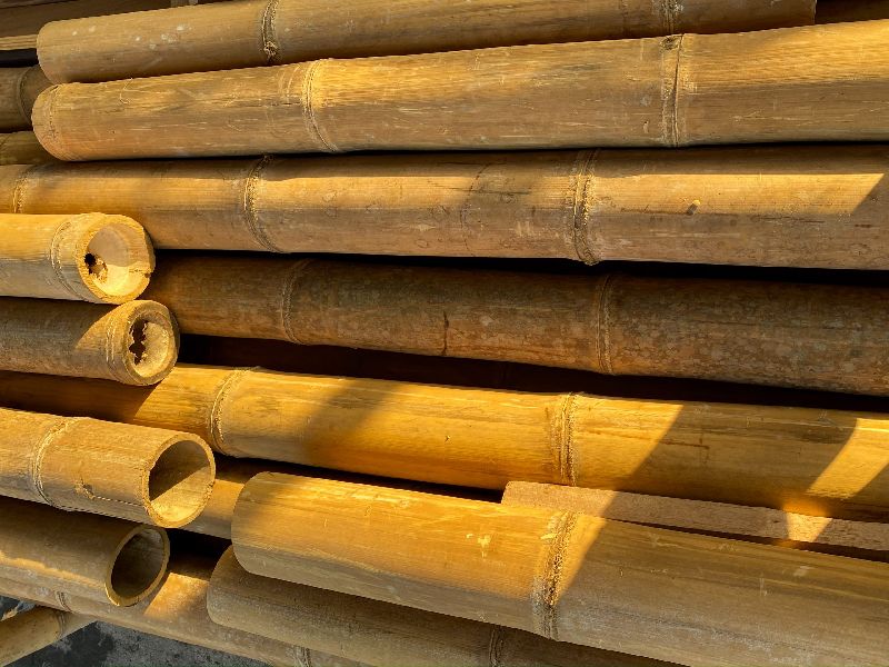 Common Smooth bamboo poles, for Agriculture, Grade : a+ at Rs 50 ...