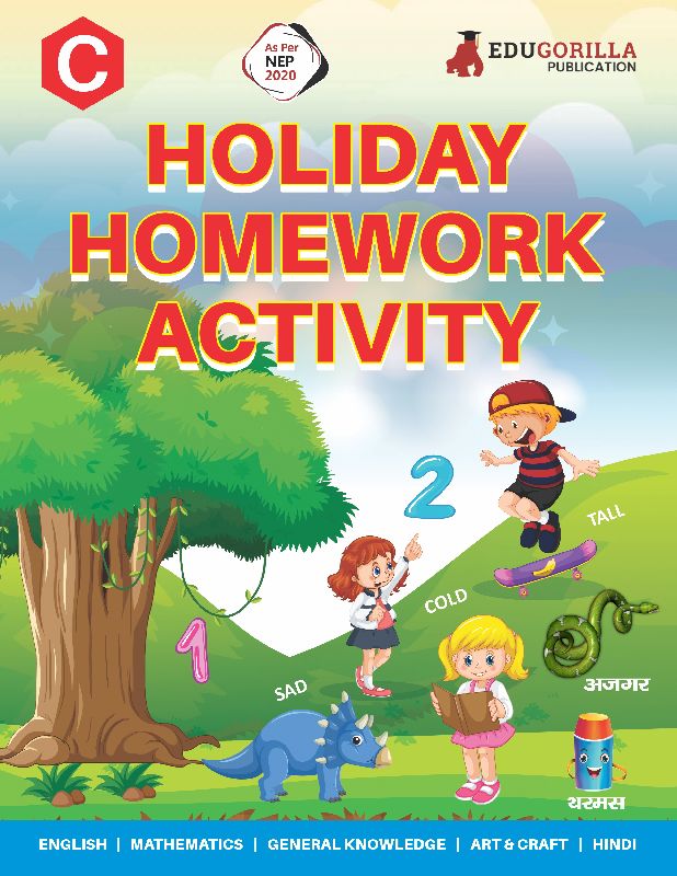 pre-primary holiday homework activity kids book