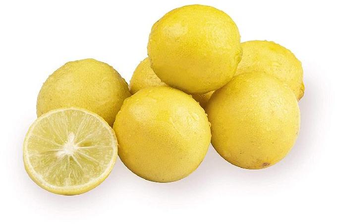 Organic fresh lemon, Shelf Life : 15days