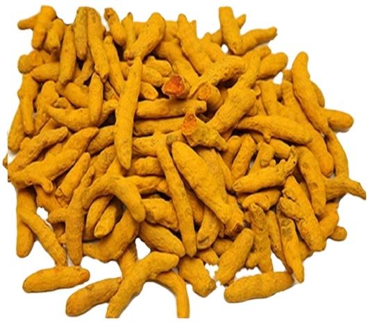 Organic Turmeric Finger, Packaging Type : Plastic Bag