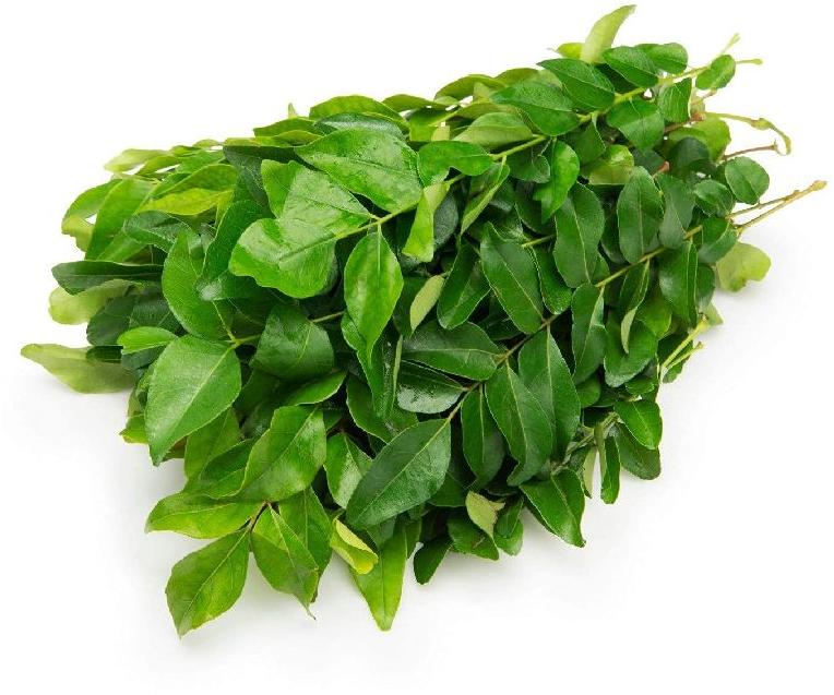 curry leaves